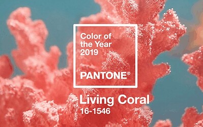 Pantone Colour of the Year 2019