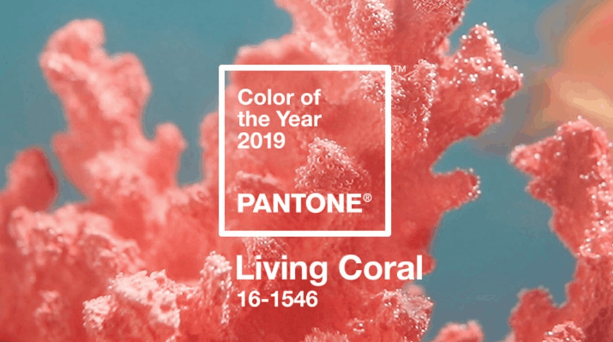 Pantone Colour of the Year 2019